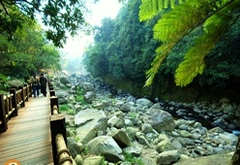 單身旅遊—蓬萊溪護魚步道/單身關愛協會