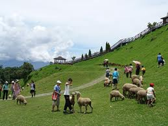 春節單身旅遊-日月潭 廬山/單身關愛協會