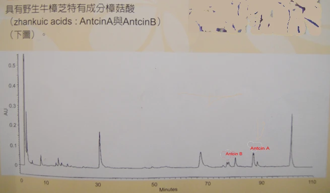 含有野生牛樟芝特有成分樟菇酸（zhankuic acid：AntcinA與AntcinB)。
